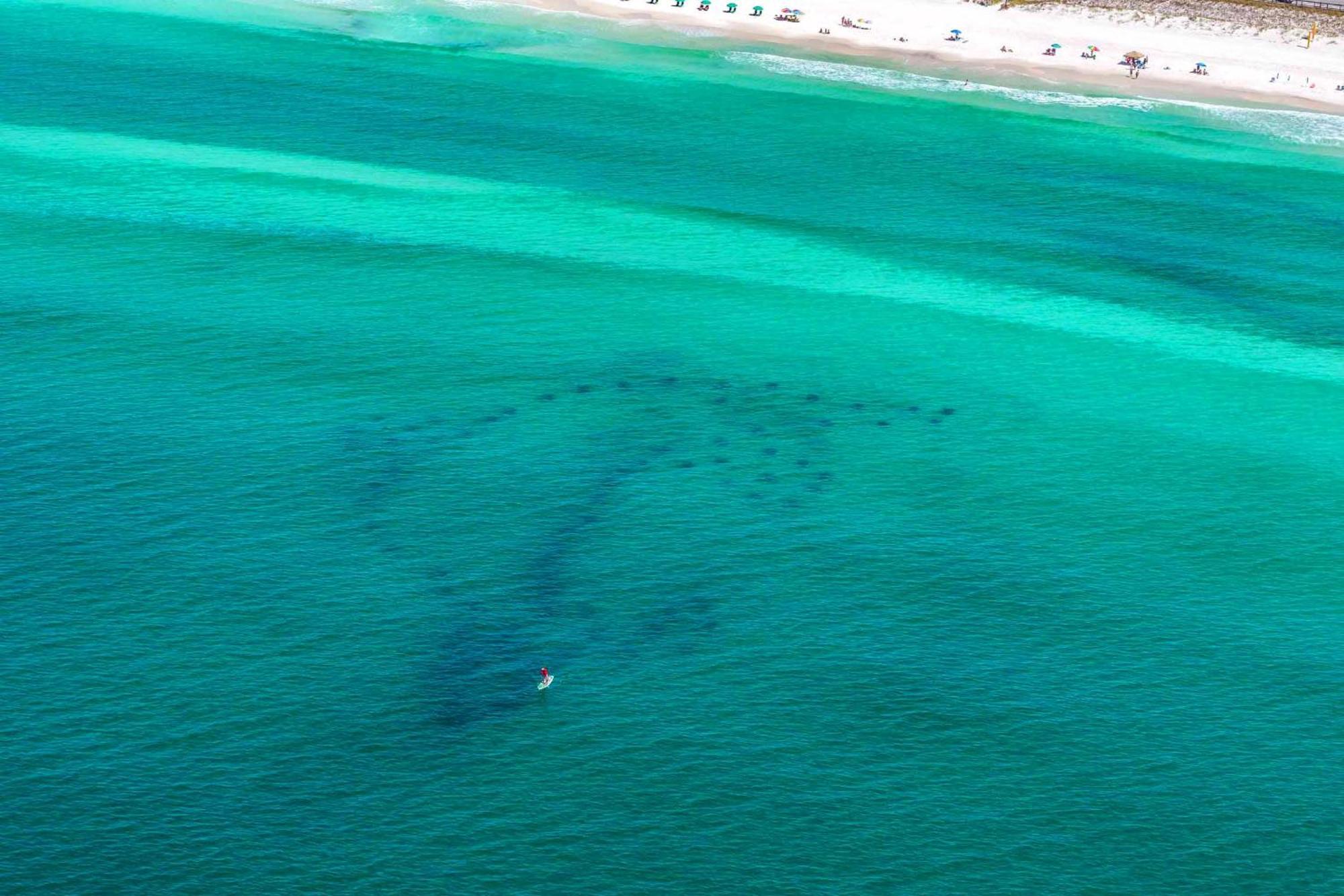 Ariel Dunes I 1307 Destin Eksteriør bilde